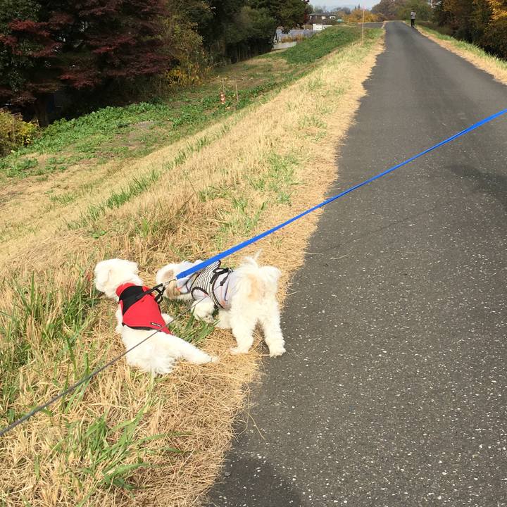 B3259725 aadb 4d91 940a 89fd31f22e8d 1606043002631