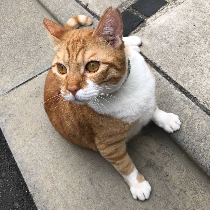 B325f939 dac8 42fb ad66 29a3e39b2ca7 1560604930121