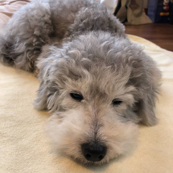 B32607fb 6e77 4cf1 8b4e b934fbbc5c8f 1526512344324