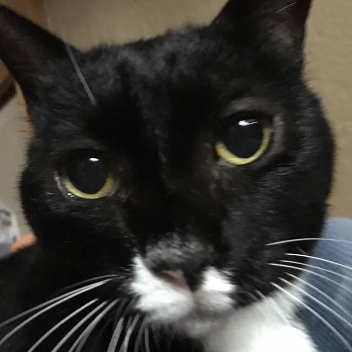 B3263a02 95bd 45b7 92ad f91b7b55d4a9 1549769539392