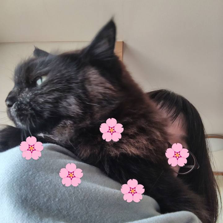 B32678c5 b2fc 444c 812a 6906d2ff96e8 1741672203214