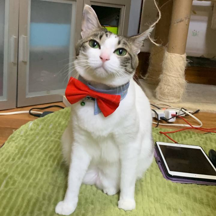 B326ad9a cd9a 4413 bde2 110594d92d33 1555990719320