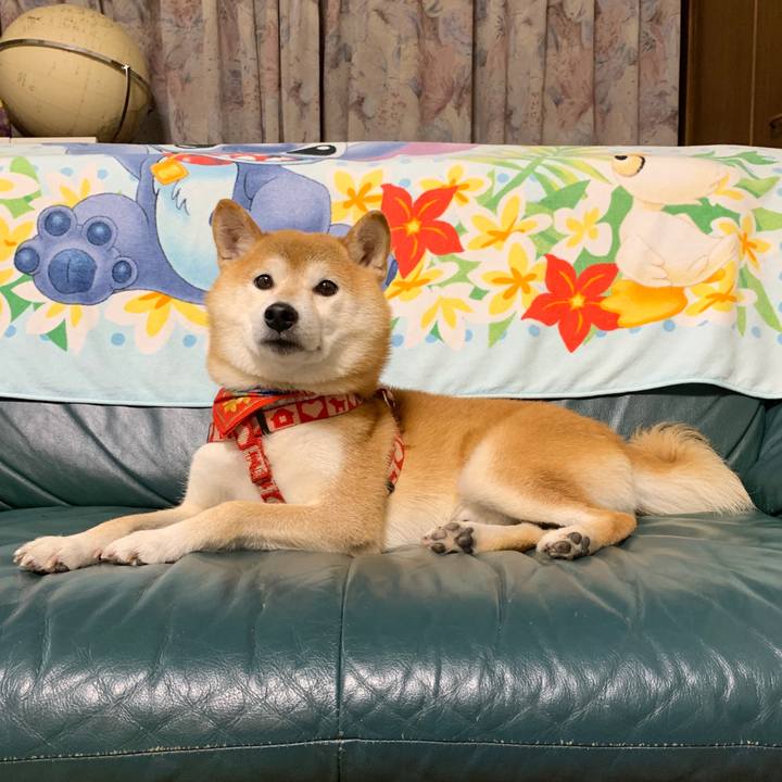 B326cf7b df69 43fd 9c65 f9ac02a68604 1602586442248