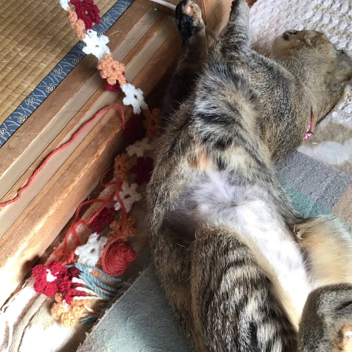 B326e2b9 488e 491d 9d51 f056e8e444da 1573436145214