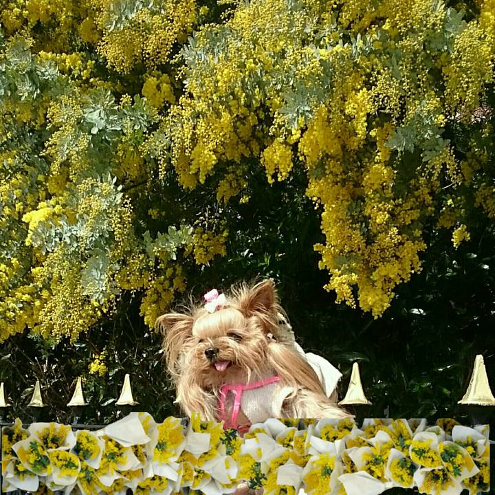 B326e99c 516b 4c36 b57b 212b73901b61 1520385168202