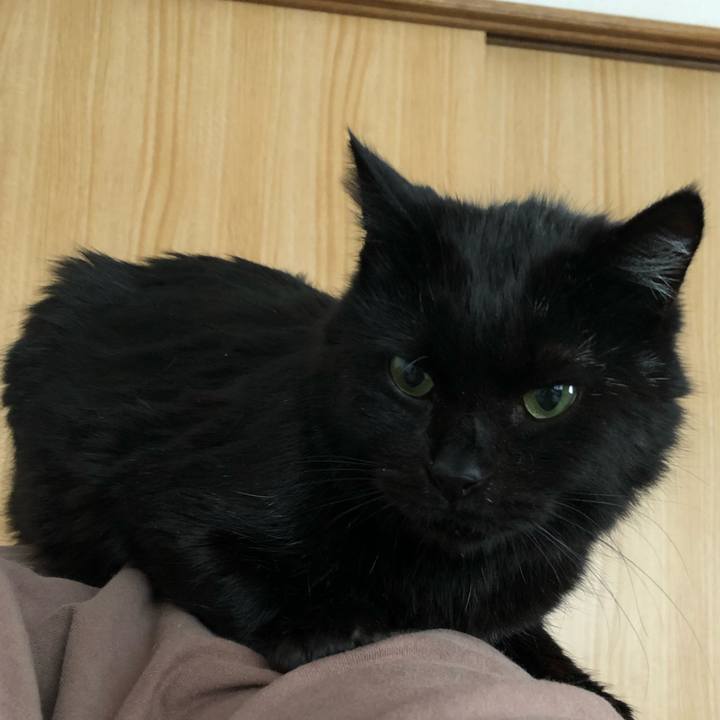 B326f4bf e432 42f9 876b c50c99b87347 1608336649385