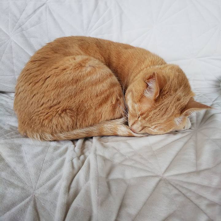 B326fb00 b103 4dc7 adab 17b5e5a3acf5 1620868479318