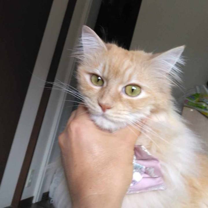 B326fbf1 5f63 4b54 a3d0 650861fa06be 1718489006397