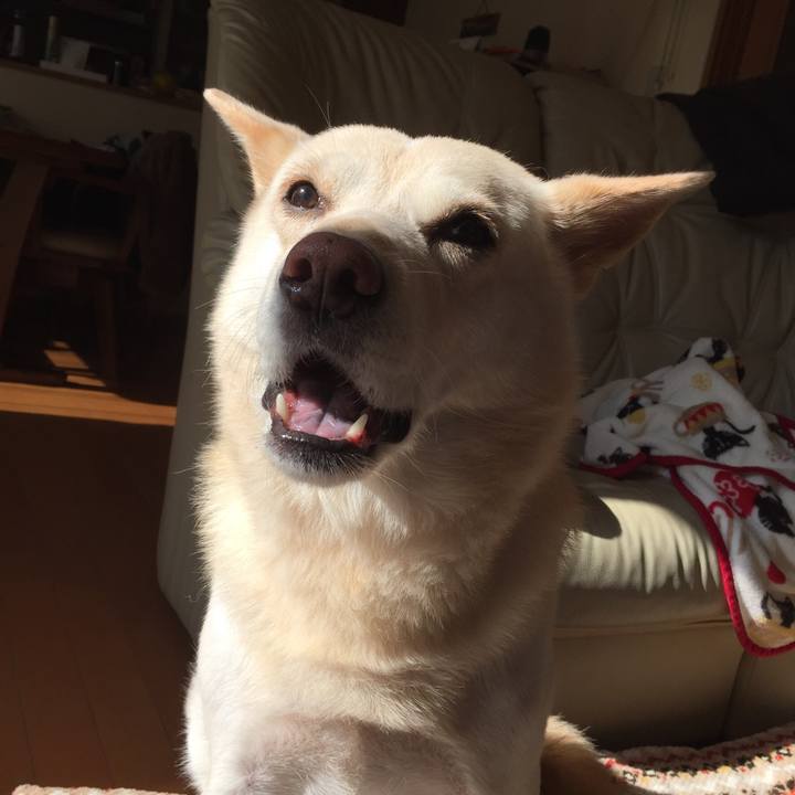 B3270b2b fa53 4664 a893 11aa4898ed86 1514724411212