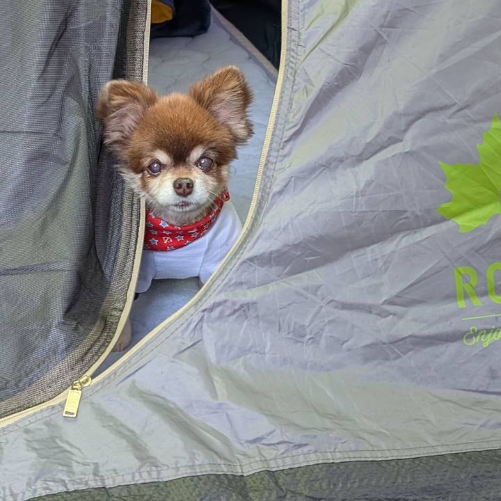 B32758b1 710b 4e91 815f 3e7db45ef5a2 1763298106057