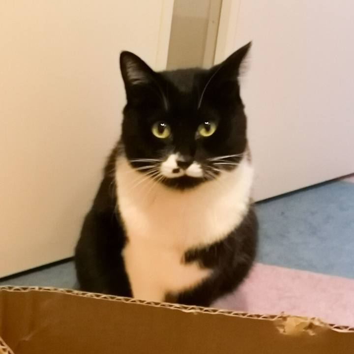 B32759b3 b422 4c73 97bd dc7c50c5b627 1544947634311