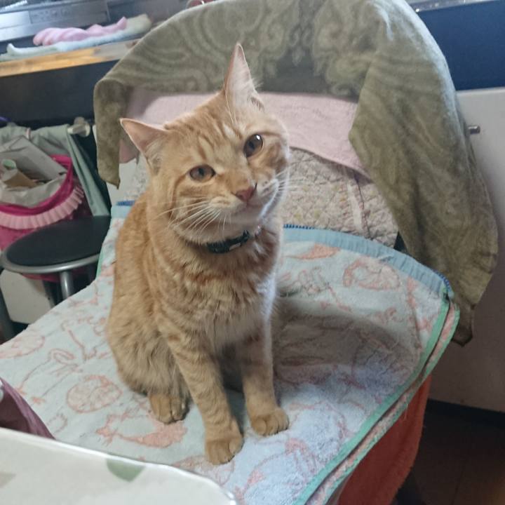 B3276a3e 0f76 4ce8 a79b fe1045d5debf 1648089388989