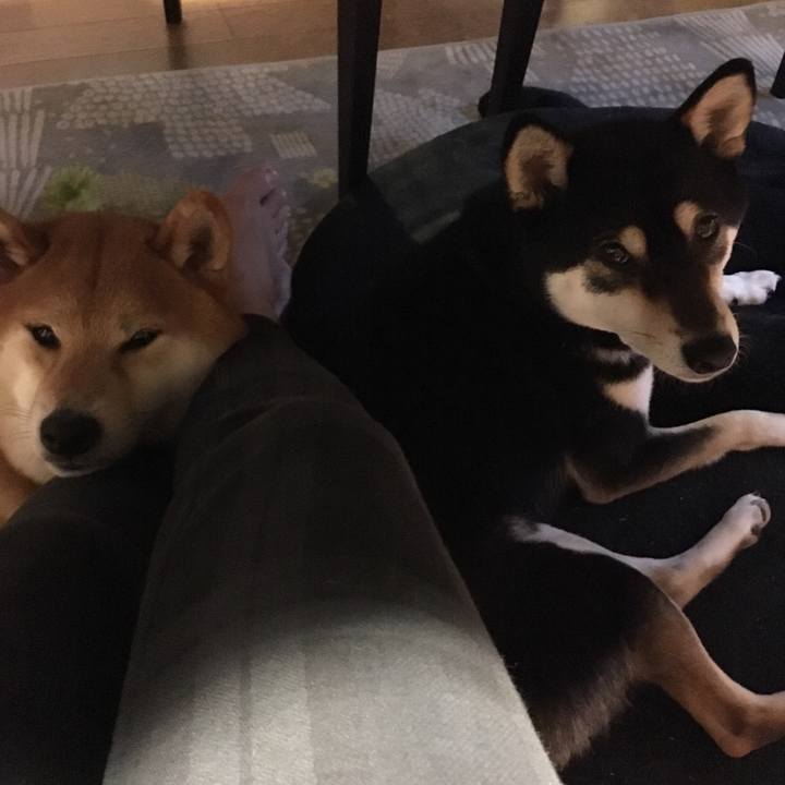 B3278e59 e182 4275 92e4 8676a3eeaafb 1550341311044