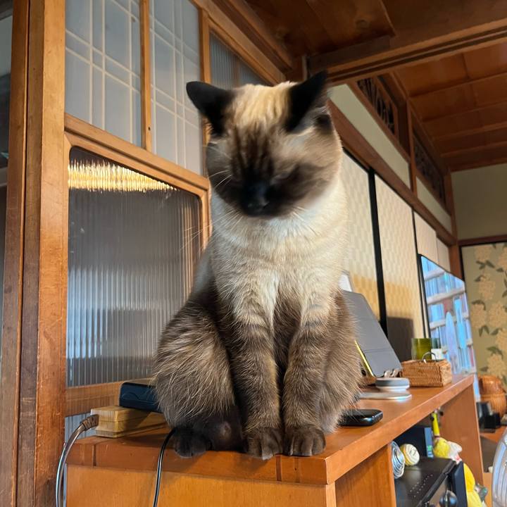 B327ae0e 8469 4b43 80fc 3d15918c8c96 1664970698938