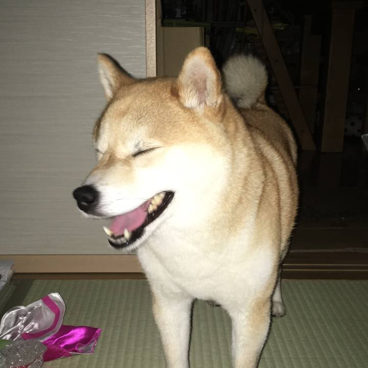 B3280cfe f0d6 4ac4 9487 9932e2ff5f22 1540172724149