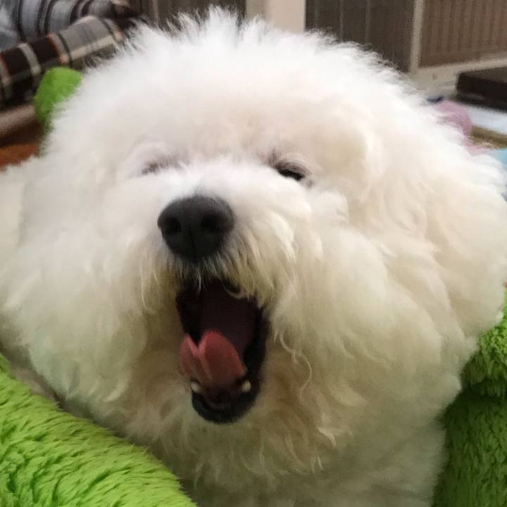 B3281a8e fd46 4388 9e8b d4818f25f52b 1560687625998