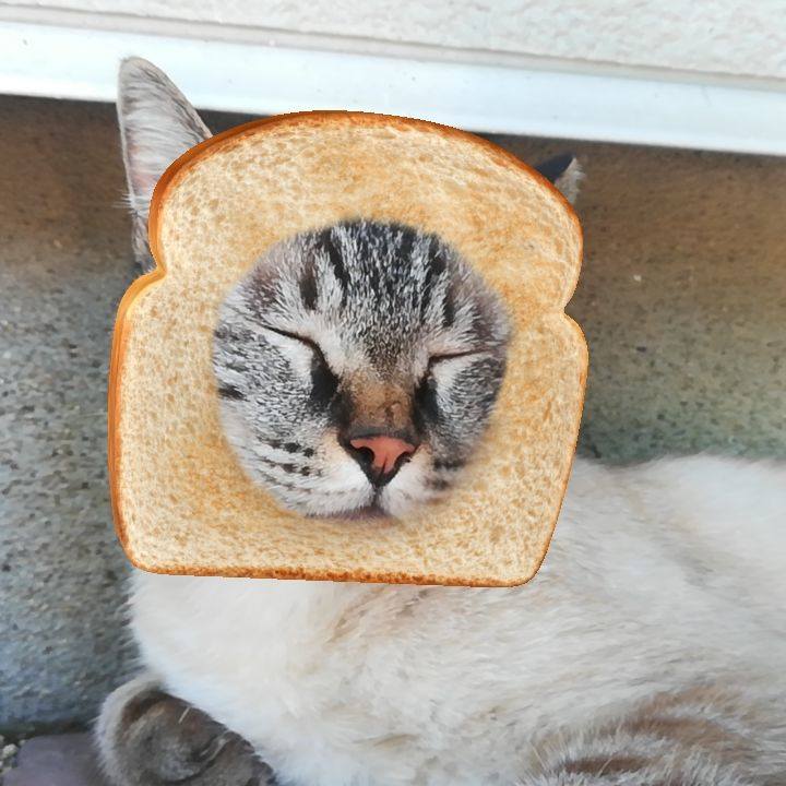 B32824f6 9e3e 4e6a b734 3eb20bbf4a1b 1565574001002