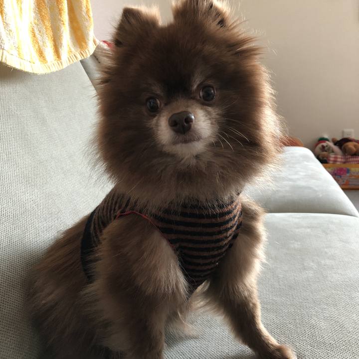 B3283e4a 49e3 4109 8b9c b2c52aa2966e 1551052349086