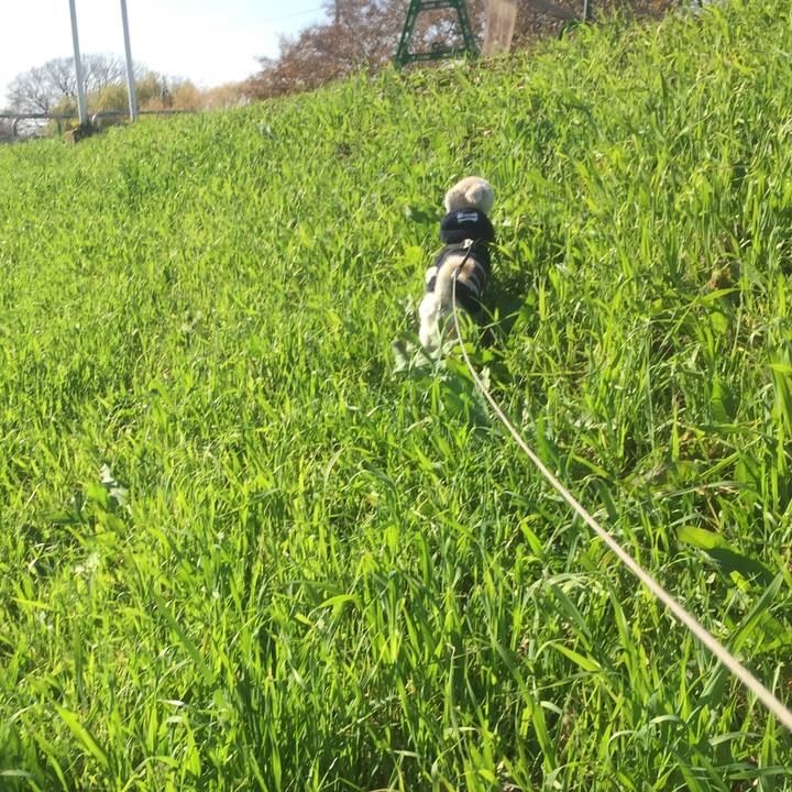 B328767c d1a7 463e ade7 1c1db2c82381 1513169704184