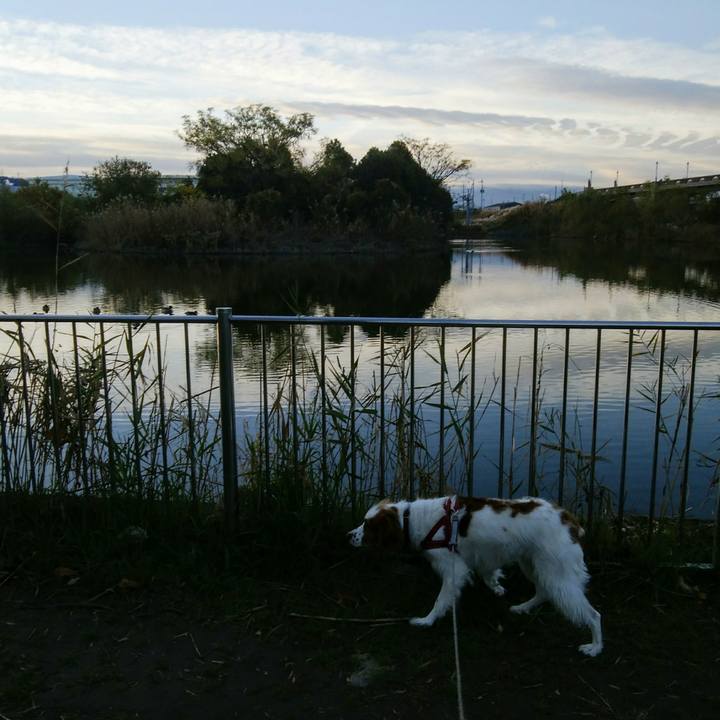 B3289694 f679 4a01 96c2 acbe5ae86725 1544227825712