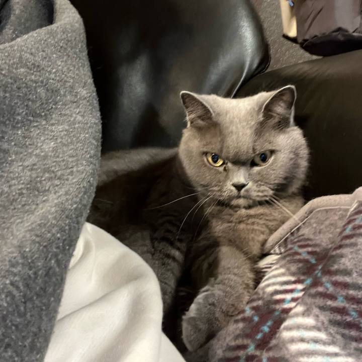 B3289874 78f1 4dd0 8271 c298f6c1c8a2 1733405141565