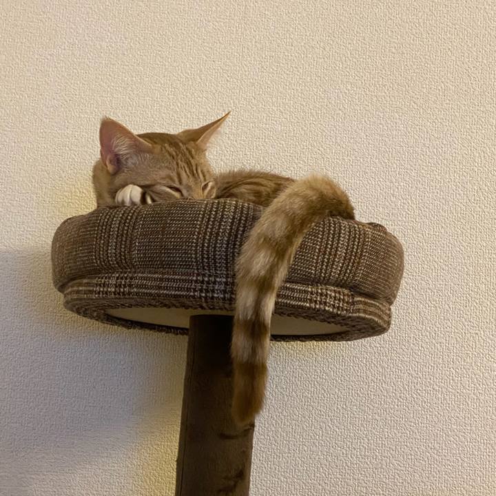 B328b50c 8b68 4ed4 84f7 4337995d1e5a 1609163086059