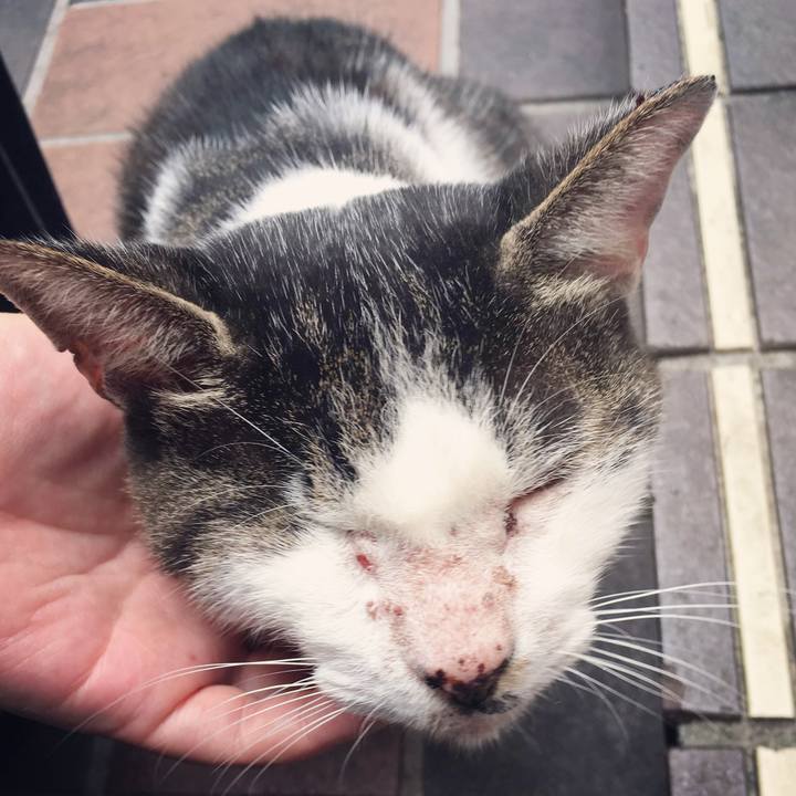 B328b721 9296 4105 8f39 4f4cf9d2c33d 1597466904005