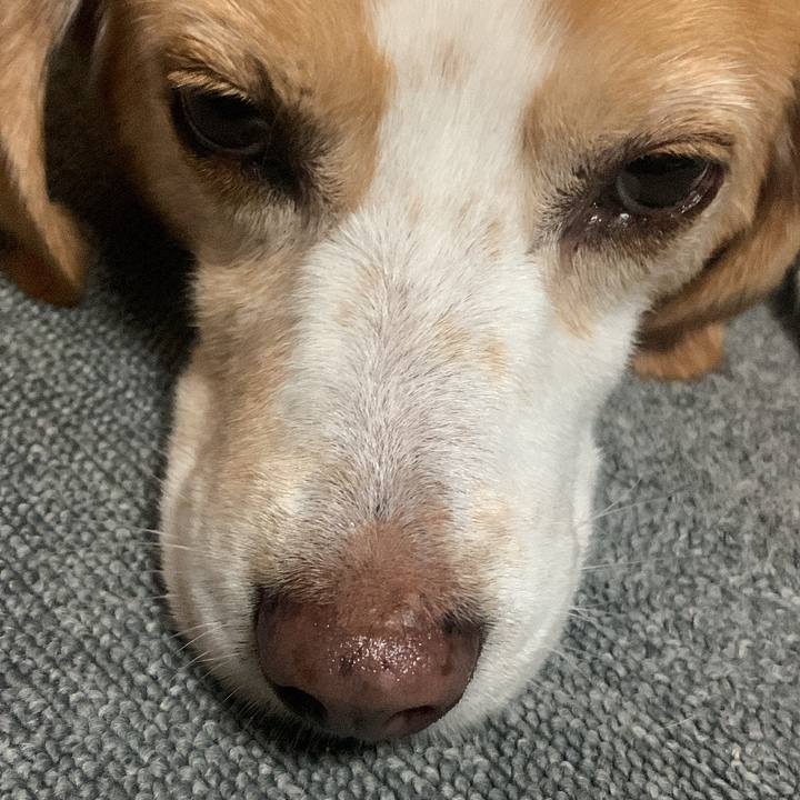 B32922d2 06a5 4ba8 9699 e0bde7d77b38 1728458624053