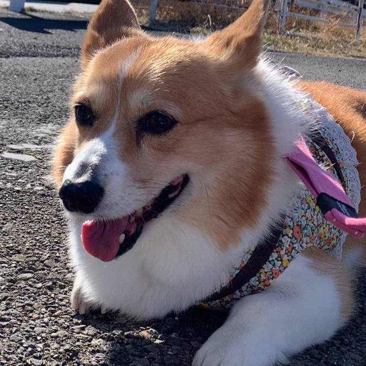 B32928c2 d4c1 4035 a565 c13ea8dc46b3 1676856590014