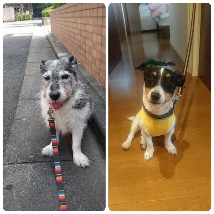 B32937cc db3b 4c66 a89b fa368b1a13f3 1553142192721