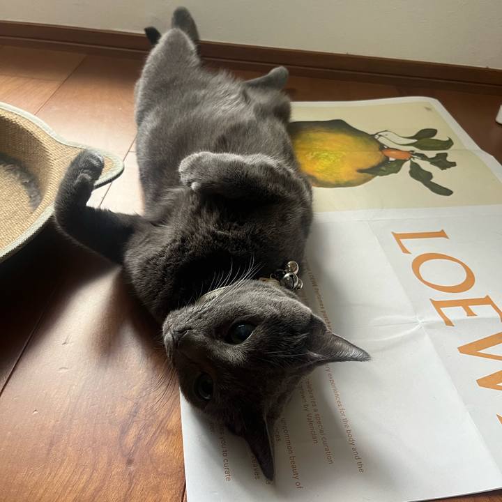 B3293b78 350c 431d 9da7 eb99071804ec 1721950792389