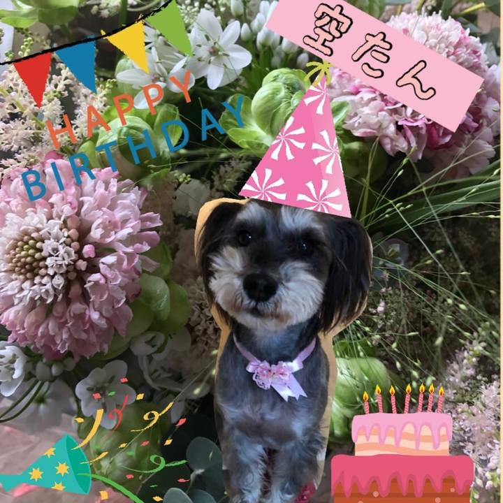 B3294d78 afc6 4bbf 87f7 c7c33cb15eb3 1521721713624