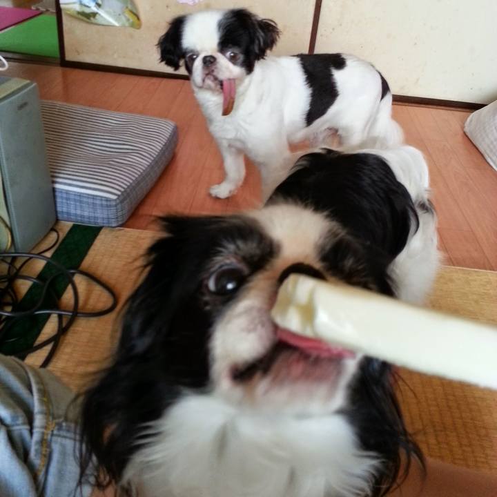 B32954a2 b6ab 408e 9686 c3d84baad420 1660456104130