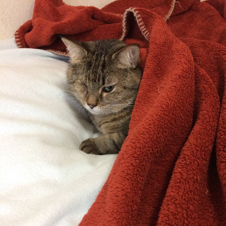 B3297852 d6fd 4ec4 a014 655af7578cb1 1538089001873