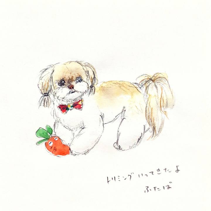 B32995ca 6460 43f1 94c2 7affcfbc1602 1671164426252