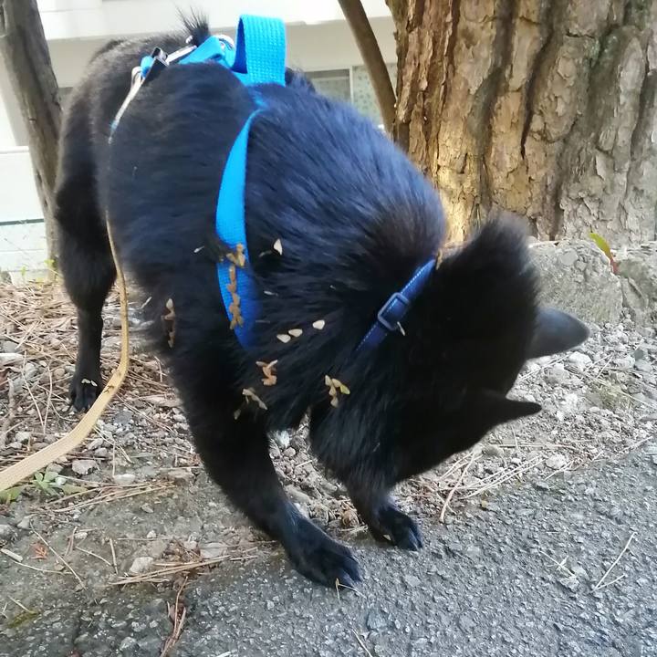 B329acdf 9058 4f75 ab69 6e12d715bb09 1635550458061