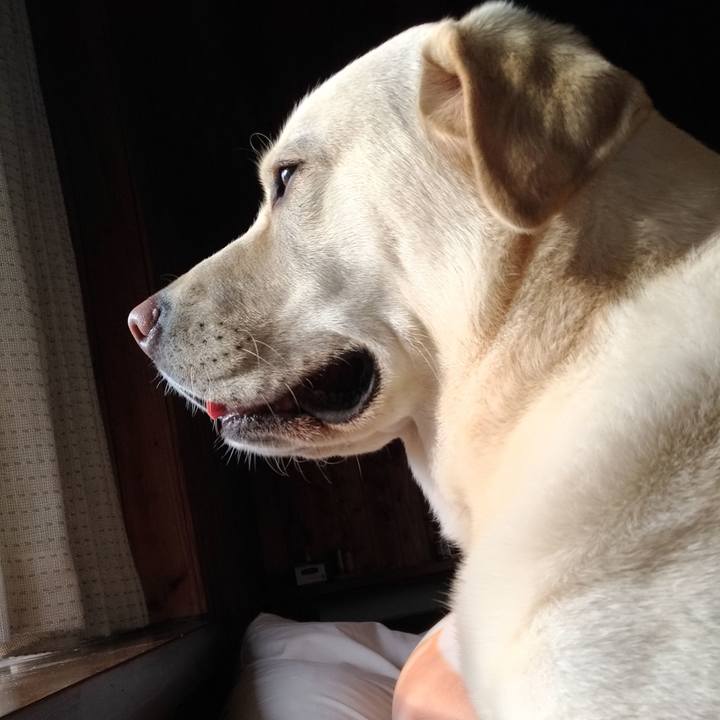 B32a0271 ce55 42ef b973 c29146e1b968 1557223759988