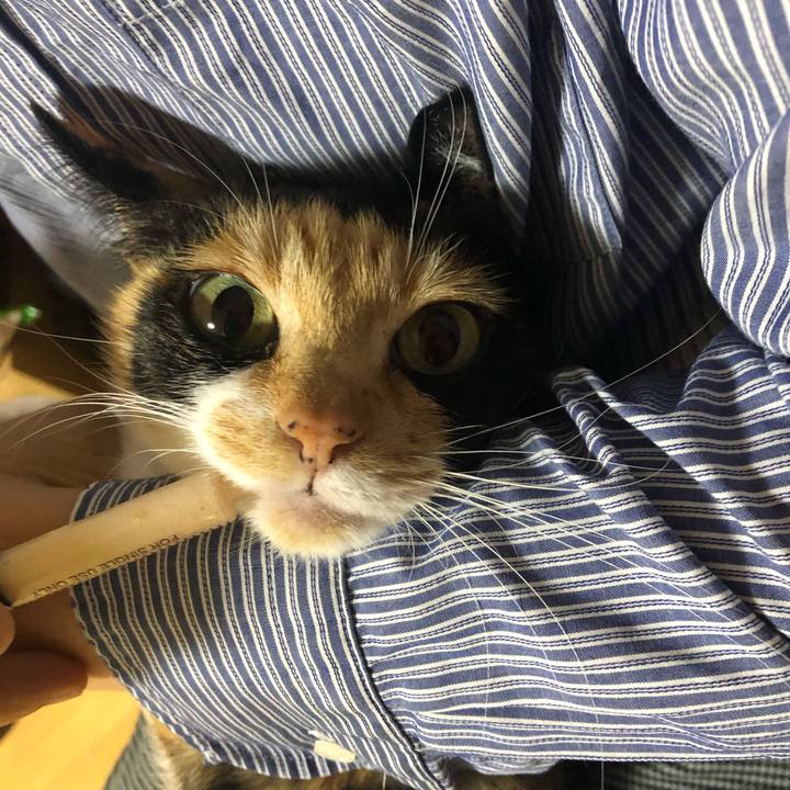 B32a3b12 9778 42d6 a4ba b16d074063ab 1584485727606