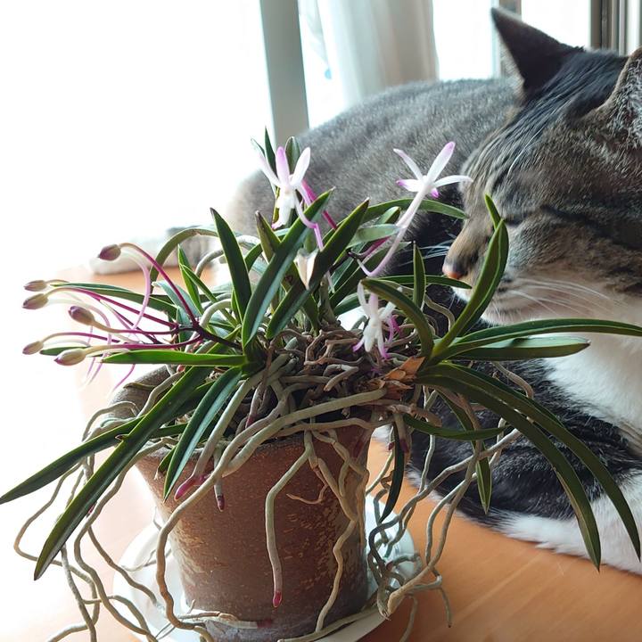 B32a8227 3d37 464a bfe2 0ff285296b0e 1624579969305