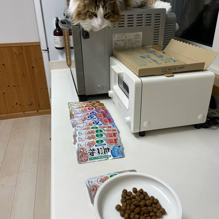 B32ab534 beb9 4722 8960 8f52ac1c8f4b 1668455388018