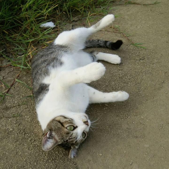 B32b1a50 3cc8 4cb5 a97a 04e9192ef4ea 1534724325550