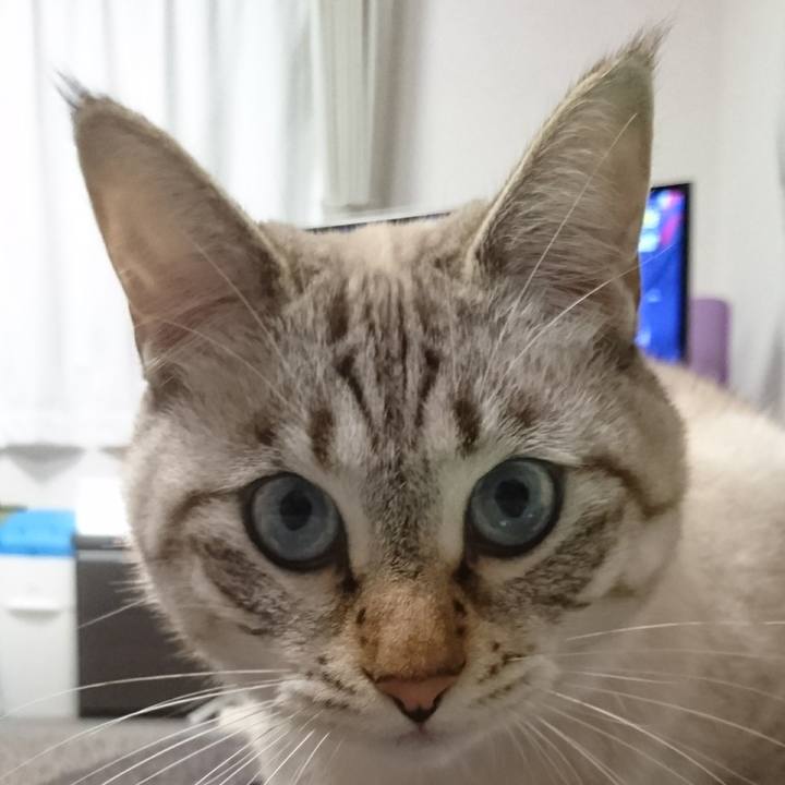 B32b1ec1 35e4 4986 8a43 f42206772a76 1509176180301