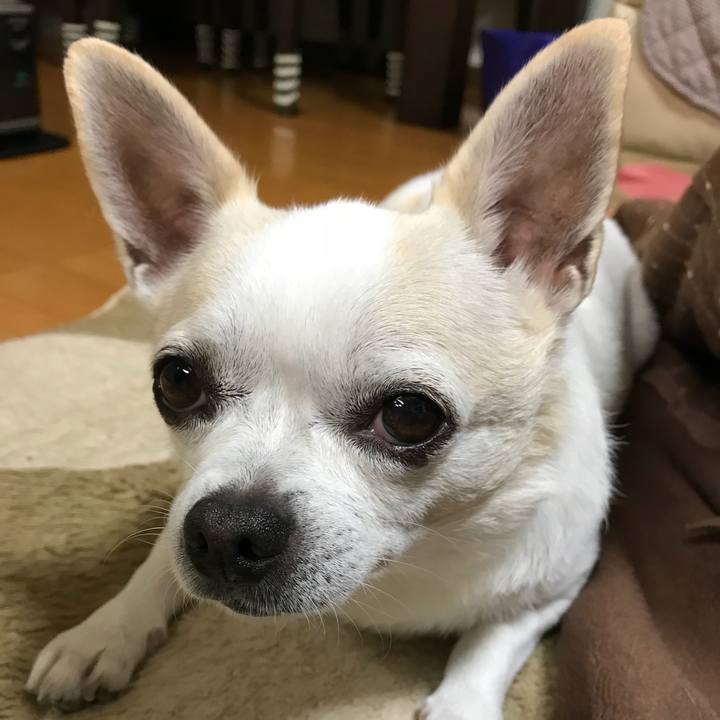 B32b44b3 6e76 4f9c b5e9 06ba3985fe45 1509450787939