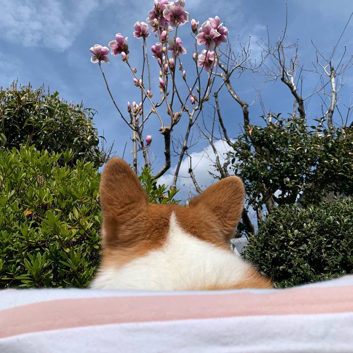 B32b5c79 7bba 4bcc a5c8 4a675162663e 1679374331993