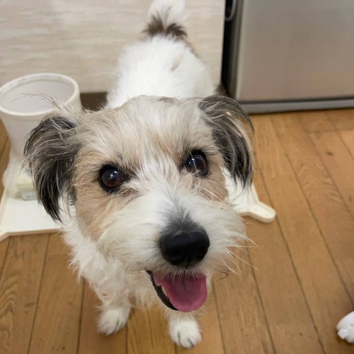 B32b7e48 095b 428d 8dcd 05bbb45246f5 1761448761828