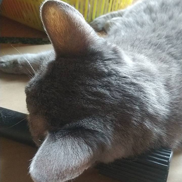 B32b9663 d255 414e ab32 13542025d6a2 1663207674508