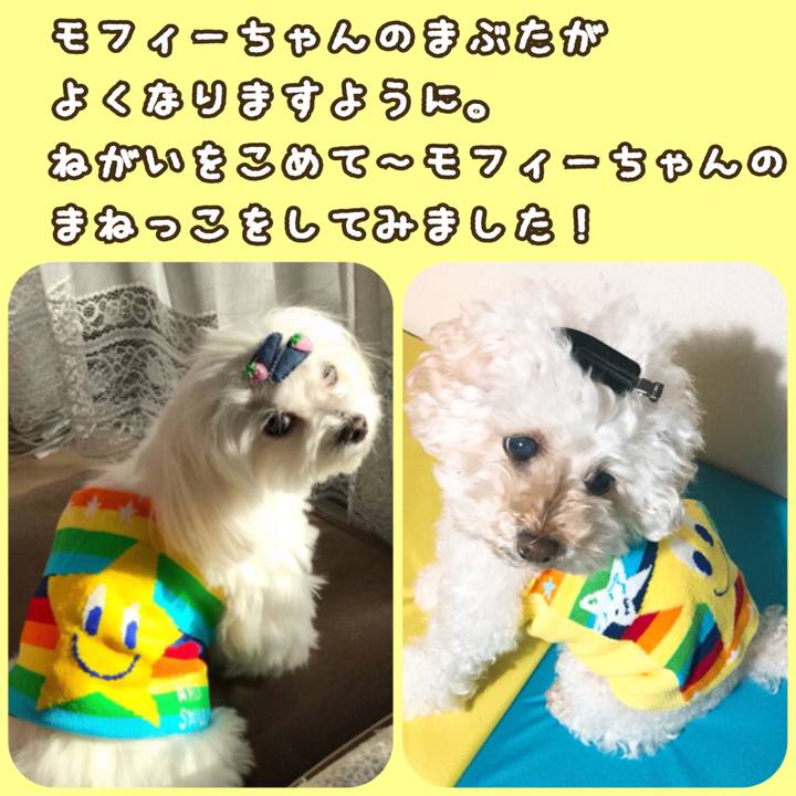 B32bbb2a 4013 4761 a0e6 f951d66300fb 1513081393875