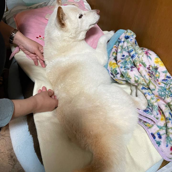 B32be1a8 e8a9 4846 a7c4 a1e75f888c0a 1635770372582