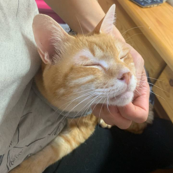 B32bf89d 4cb2 4913 ae18 2da4e864b407 1639773419821