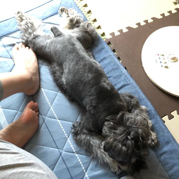 B32c09dd 726a 4f01 a4a2 1883c4351702 1692395592817